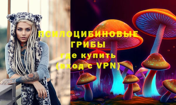 бошки Арсеньев